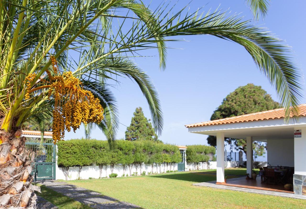 Finca La Vizcondesa Icod De Los Vinos Exterior photo